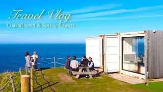 Scottish cute seaside country cafe & shop| Day trip to small coastal village with spring flowers, UK