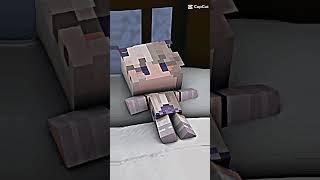 #minecraft #sheyyyn cute baby  #edit #memes