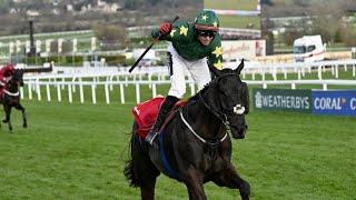 The new Tiger Roll? Cross Country hero STUMPTOWN set for Grand National | Racing TV