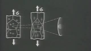 Кинетика деформирования и разрушения металлов, 1981