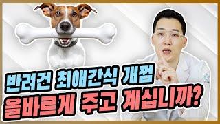 반려견 개껌 이렇게 주세요! [우리동네수의사]