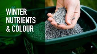 Winter Lawn Care Products | Lawn Nutrition and Colour in Winter