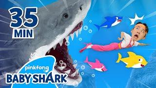 They are SHARKS! RUN AWAY Doo Doo Doo! | +Compilation | Best Songs Medley | Baby Shark Official