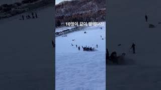 슬기로운 미국 유학 - 미네소타에서 썰매타는법 #shorts #minnesota #mnsu  #Mankato