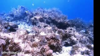 Dive Sandals Resorts - PADI Shallow Water Diving