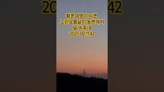 황혼여명이 지면 노란 보름달이 동편에서 날 비추네 2025.02.11.42 대보름 D-1 #여행
