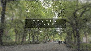 Central Park on a Rainy Sunday in Early Autumn #nyc #centralpark