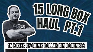 15 Long Box Haul Part 1  |  First Look at 15 Boxes of Grimy, Dollar Bin Goodness