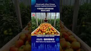 China's path offers Chinese wisdom to global development