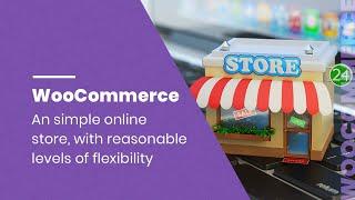 Flexible WooCommerce Development Services | KrishaWeb