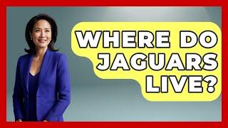 Where Do Jaguars Live? - The Wild Life Explorer