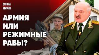 ИЗБИЕНИЕ И РАБСКИЙ ТРУД В АРМИИ. Почтальонов осталось на три дня. Клоуны поддержали Лукашенко