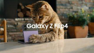 Yeni Galaxy Z Flip4 ile Hayatı İkiye Katla | Samsung