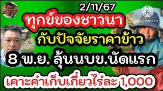 ทุกข์ของชาวนา กับปัจจัยราคาข้าว 8 พ.ย.ลุ้น นบข.นักแรก เคาะค่าเก็บเกี่ยวไร่ละ 1,000