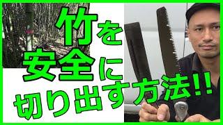 【竹の切り出し処理】ナタとノコギリを使って安全に竹を片付ける方法とポイント解説‼︎#稲屋の田舎チャンネル