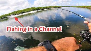 Fishing Channels & Mangroves in the Keys {Catch & Cook}