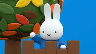 King of the castle! | Miffy | Sweet Little Bunny | Cartoons for kids