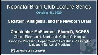 Sedation, Analgesia and the Newborn Brain