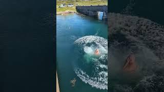Epic Fail Hub: Ultimate Fails Compilation | #FailArmy #FunnyFails