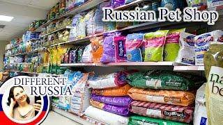 Shopping in Russia: What Can you Buy in Russian Pet Shop? #DifferentRussia