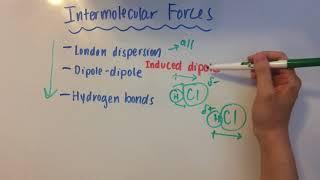 Intermolecular Forces