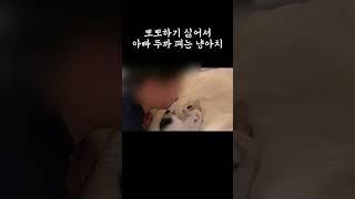 #냥아치 #고양이 #냥펀치 #cat #벼리