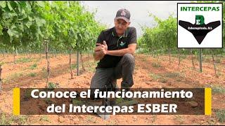 Conoce el funcionamiento del Intercepas ESBER