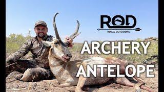 Archery Pronghorn Antelope in Utah