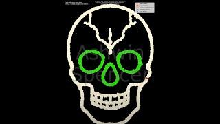 DBSCAN Clustering Animation | White-Green Skull Data Science Visualization