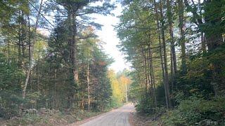 Is The Old Maine Hunting Camp Still Standing?  (More in description)