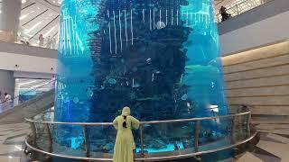 Aquarium Jeddah New Airport | Jeddah Airport Terminal 1 Aquarium | Biggest Fish Tank Jeddah Airport