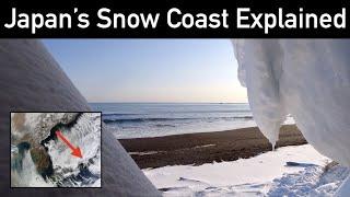 Bizarre Climates | Japan's Snow Coast Explained