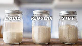 7 Sourdough Starter Tips (REGULAR vs LIQUID vs STIFF)