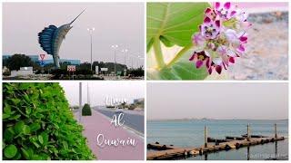 UMM AL QUWAIN | UAE | Fish Market Area | Paradise of the UAE