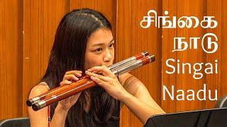 Singai Naadu சிங்கை நாடு by Shabir (arr. Wang Chenwei 王辰威) – Raffles Alumni Chinese Orchestra