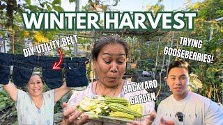 HARVESTING for soup | Turning jeans into a garden UTILITY BELT