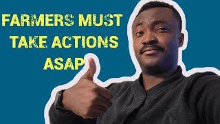 Farming In Congo Kinshasa|| Are There Enough Farmers In Congo To Feed The Locals?