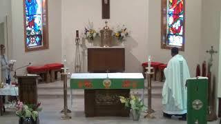 St Michael's Parish Ridgetown  -  August  21, 2024   8:30 am   Mass