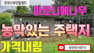 925.3천만원내린땅 창원북면토지 급매물땅입니다 바로집지을수있는땅 농막지어놓고 전기 수도 되어있는땅 마로니에나무등정원수가있는땅
