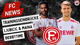 1. FC Köln Derbytime | Training am GBH | Ljubicic & Maina fraglich