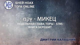 Недельная глава Торы - Парашат а-шавуа - "МИКЕЦ" 5785/2024. Дмитрий Калашник