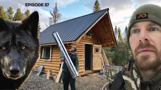 Log Cabin Build on Off-Grid Homestead |EP37| STOVE, WOLVES, FLOOR