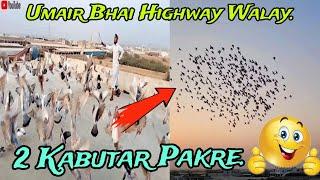 2 Kabutar Pakre || Umair Bhai Highway Walay ||  600 Kabutar Ka Shouq || Pigeon Video.. 