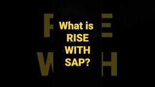 What is RISE WITH SAP?