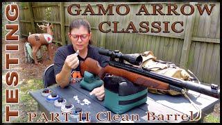 @GamoOutdoor  ARROW CLASSIC – Part II Clean Barrel – @Backyard_ShootingAA  Testing