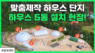 맞춤제작 하우스 단지 하우스 5동 설치 현장!  | 부유코리아