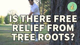 My Ball is on a TREE ROOT, free relief? - Golf Rules Explained