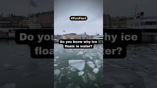 The Science Behind Why Ice Floats in Water