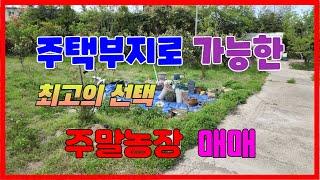 622 주택을 지을 수 있는 포항주말농장매매 농막을 설치하여 주말을 즐겁고 신나게 놀 수 있는 오천주말농장매매 남포항ic부근에 있는 포항농지매매 포항부동산 오천부동산 문덕리