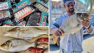 Ep#12-Dropshot with Techspot XtraStrong Elastic Soft Lure - Fishing Beach Mauritius